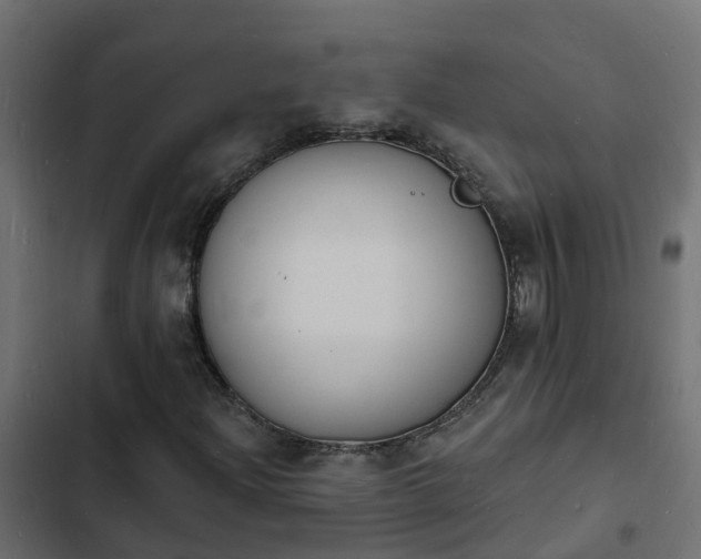 X0000103971204200809261826