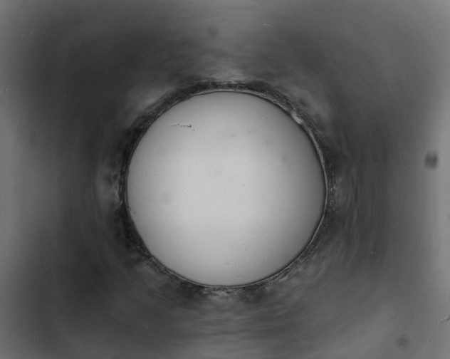 X0000103971205200809261826