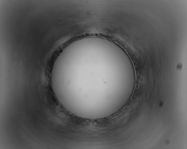 X0000103971207200809261826