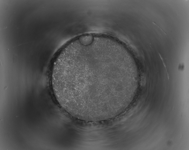 X0000103971208200809261826