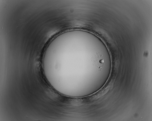 X0000103971210200809261826