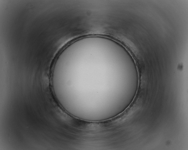 X0000103971212200809261826