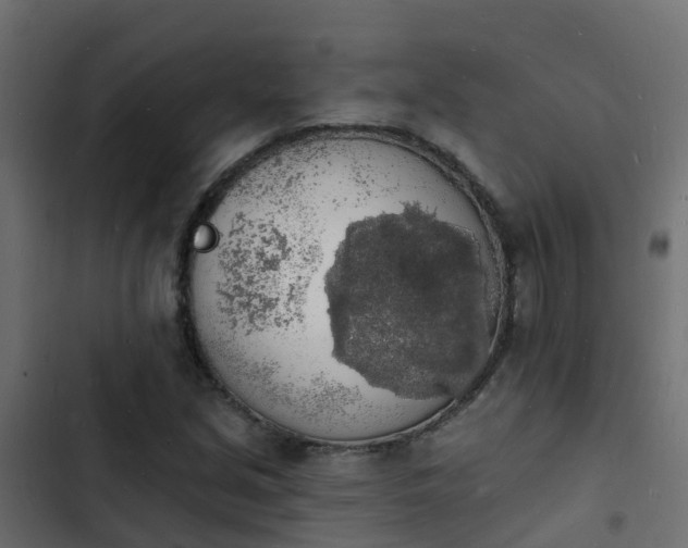 X0000103971213200809261826