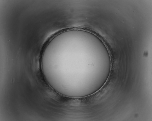 X0000103971214200809261826