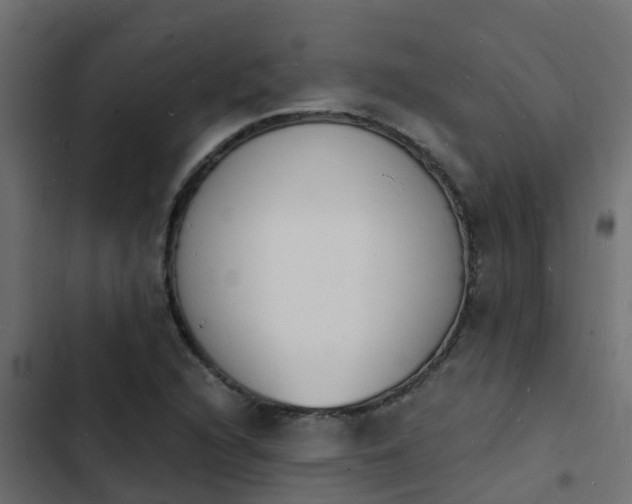 X0000103971216200809261826