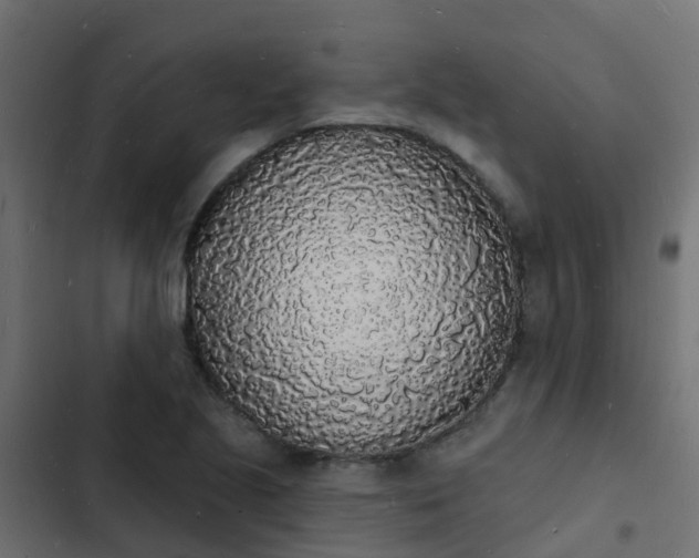 X0000103971221200809261827