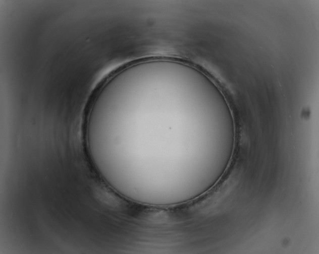 X0000103971222200809261827