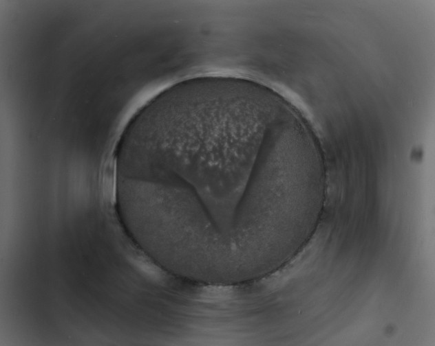 X0000103971223200809261827