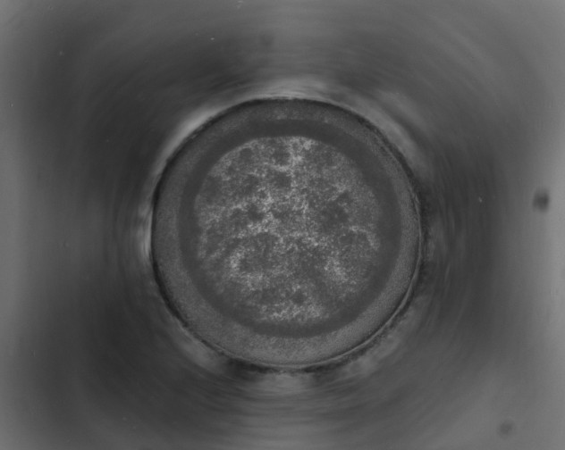 X0000103971224200809261827