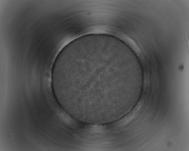 X0000103971226200809261827