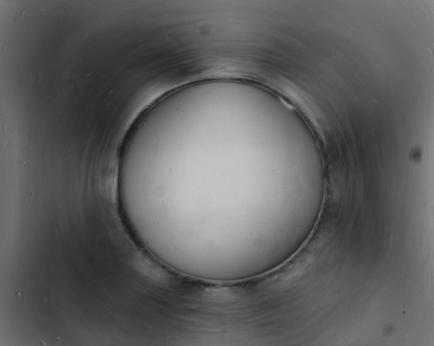 X0000103971227200809261827