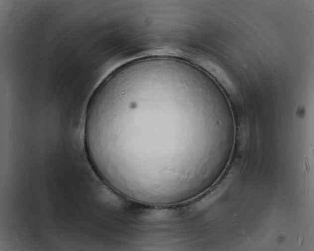 X0000103971228200809261827