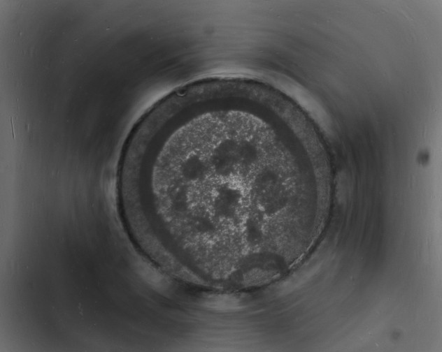 X0000103971229200809261827