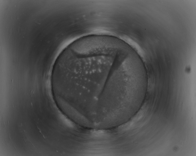 X0000103971231200809261827