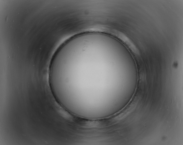 X0000103971232200809261827