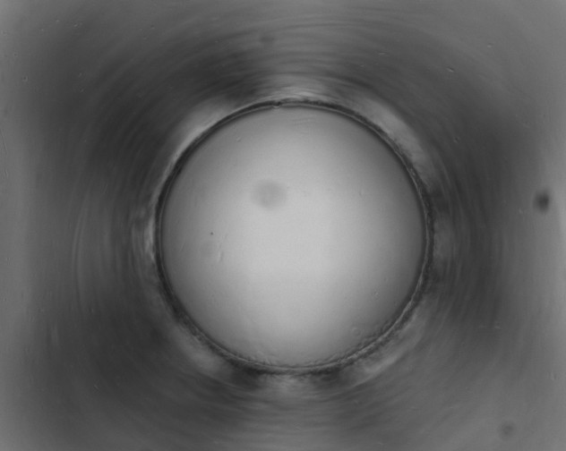 X0000103971234200809261827