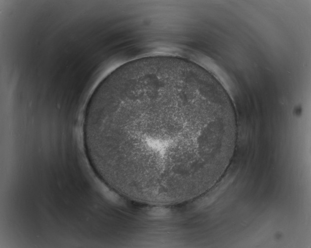 X0000103971235200809261827