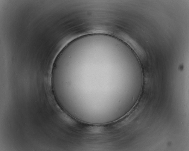 X0000103971236200809261827