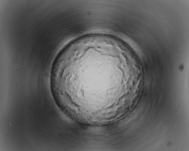 X0000103971237200809261827