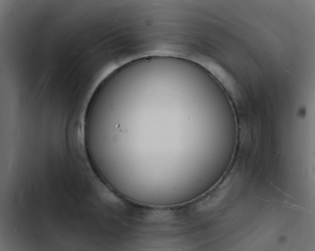 X0000103971238200809261827