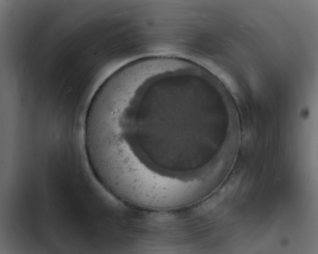 X0000103971239200809261827