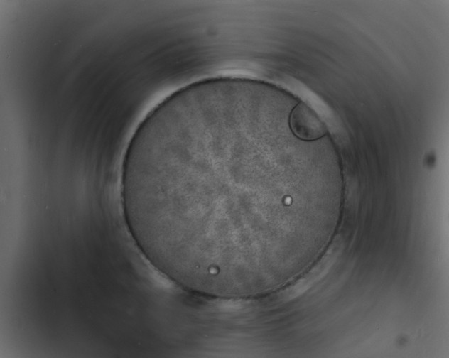 X0000103971240200809261827