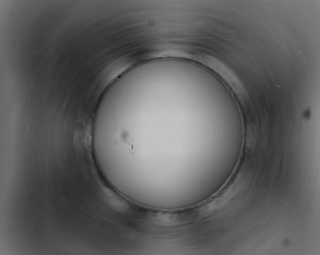 X0000103971241200809261827