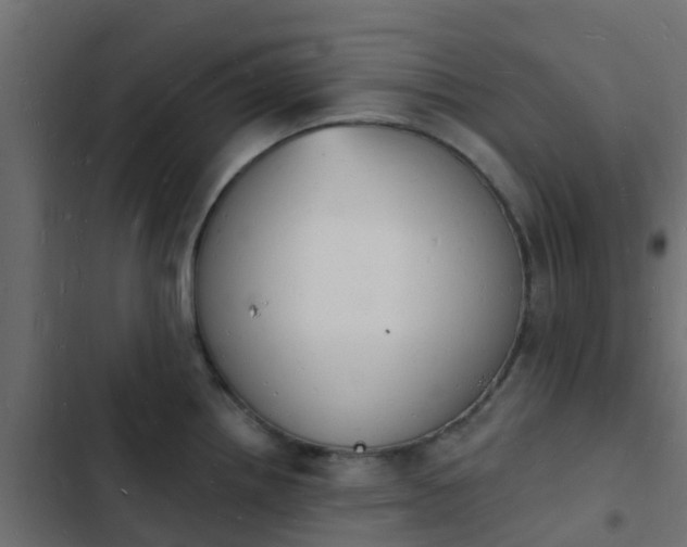 X0000103971242200809261827