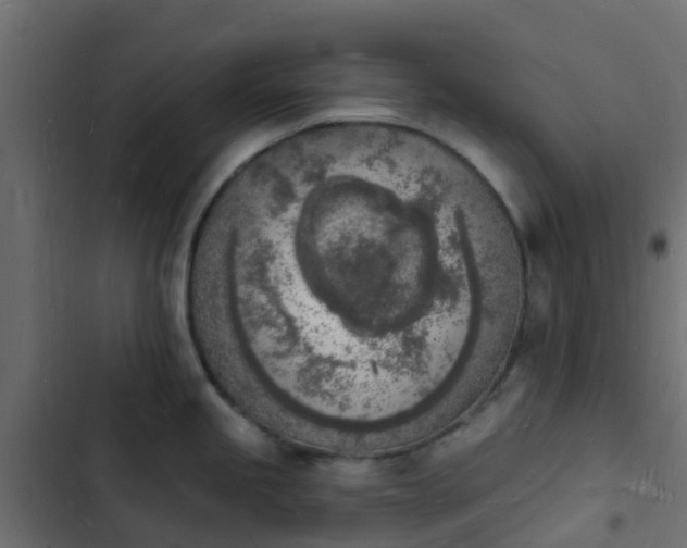 X0000103971245200809261827