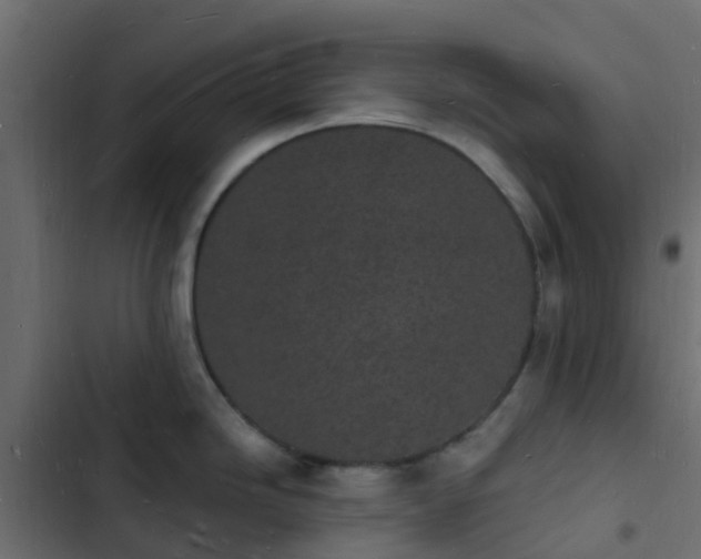 X0000103971246200809261827