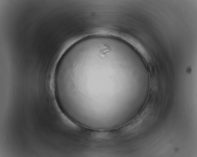 X0000103971247200809261827