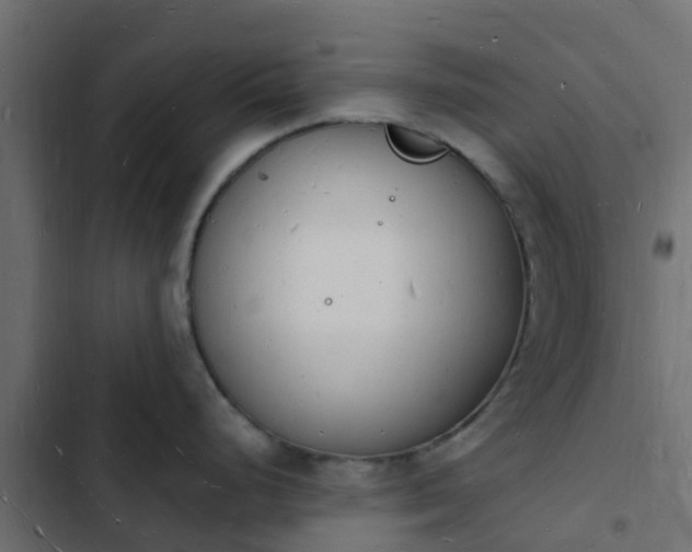 X0000103971248200809261827