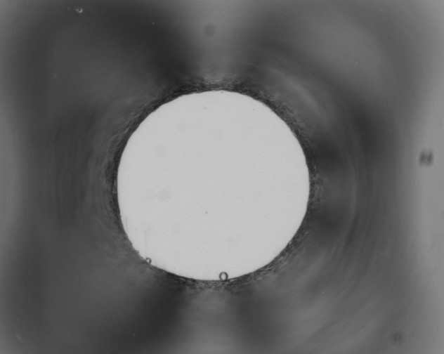 X0000103971249200809261826