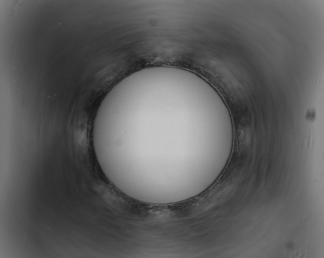 X0000103971250200809261826