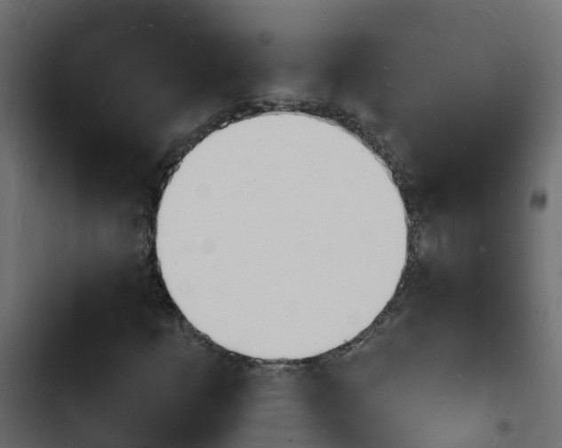 X0000103971253200809261826