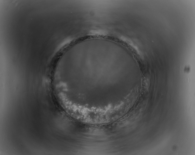 X0000103971254200809261826