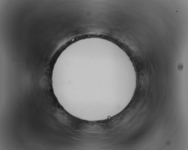 X0000103971256200809261826