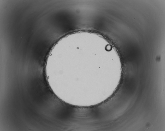 X0000103971257200809261826