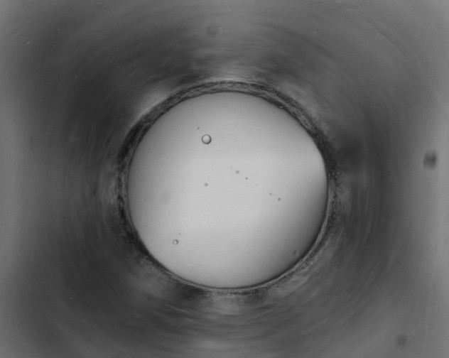 X0000103971258200809261826