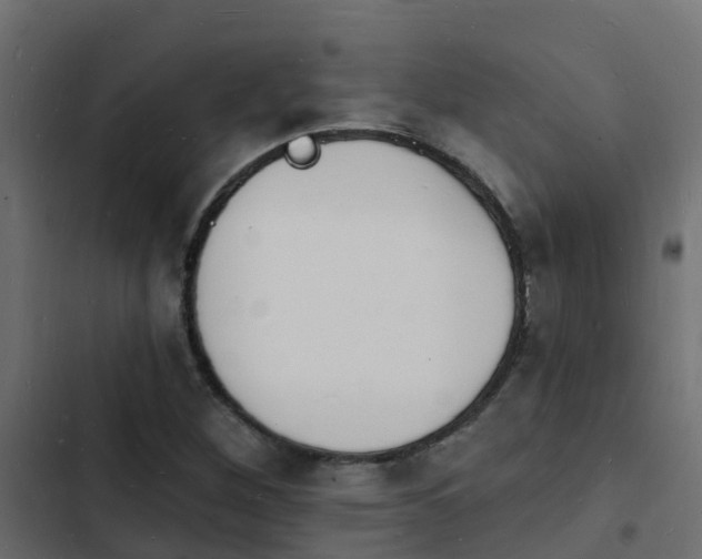 X0000103971260200809261826