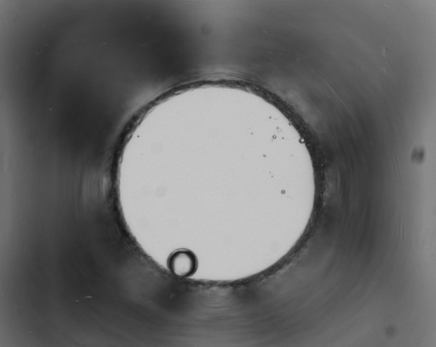 X0000103971261200809261826