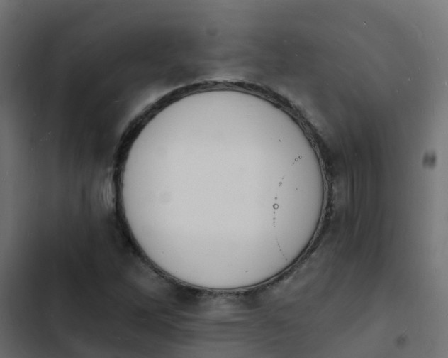 X0000103971262200809261826