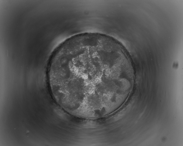 X0000103971263200809261826