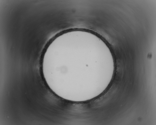 X0000103971264200809261826