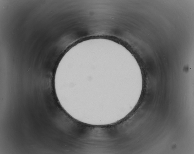 X0000103971265200809261826