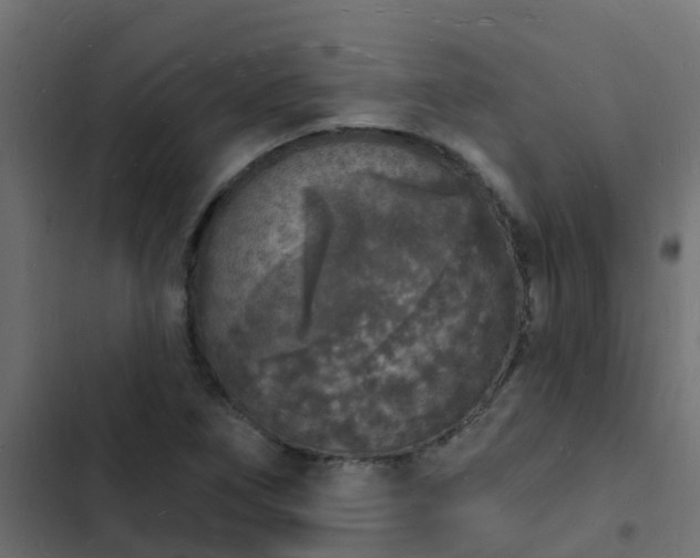 X0000103971266200809261826