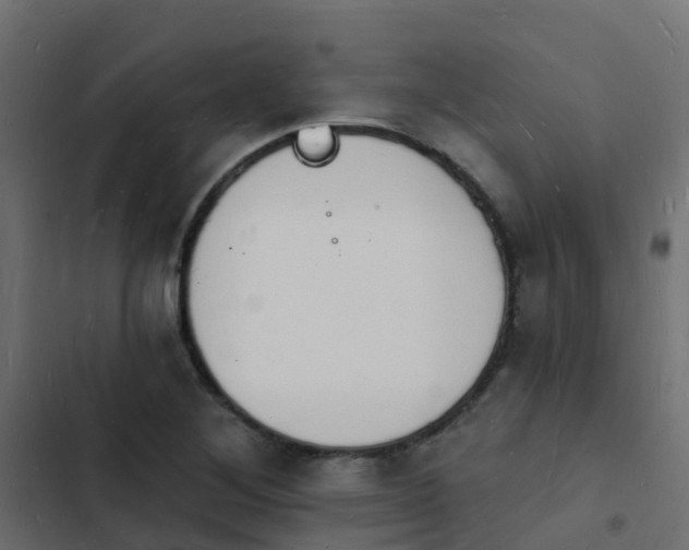 X0000103971268200809261826