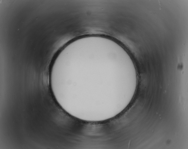 X0000103971269200809261826