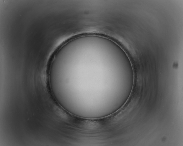 X0000103971270200809261826