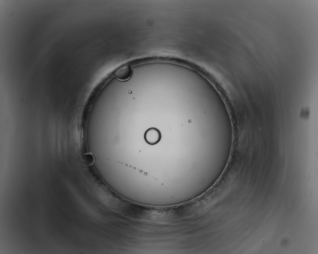 X0000103971271200809261826